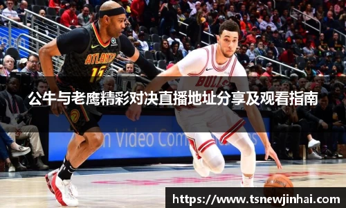 公牛与老鹰精彩对决直播地址分享及观看指南